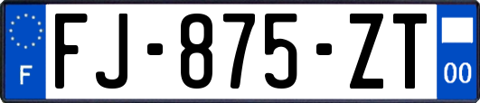 FJ-875-ZT