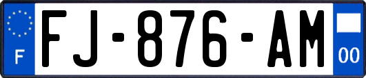 FJ-876-AM