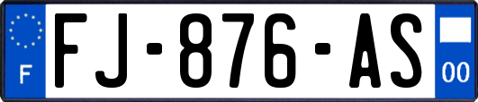 FJ-876-AS