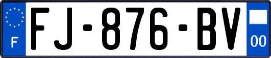 FJ-876-BV