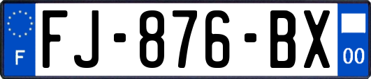 FJ-876-BX