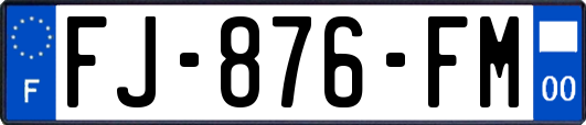 FJ-876-FM