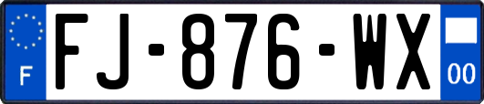 FJ-876-WX