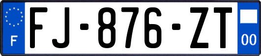 FJ-876-ZT