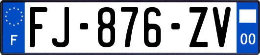 FJ-876-ZV