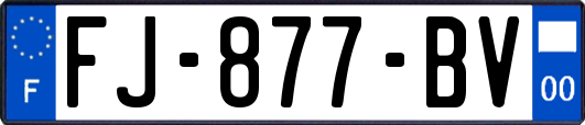 FJ-877-BV