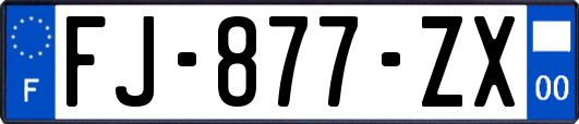 FJ-877-ZX