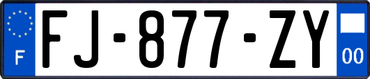 FJ-877-ZY