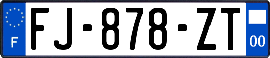 FJ-878-ZT