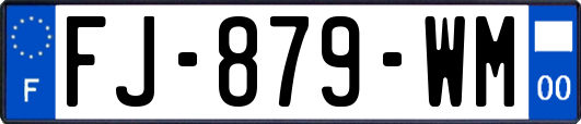 FJ-879-WM