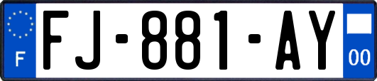 FJ-881-AY
