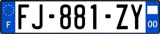 FJ-881-ZY