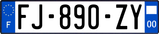 FJ-890-ZY