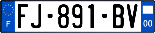 FJ-891-BV