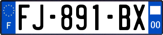 FJ-891-BX