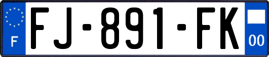 FJ-891-FK