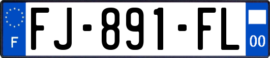 FJ-891-FL