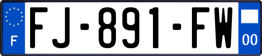 FJ-891-FW
