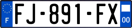 FJ-891-FX