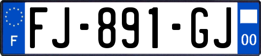 FJ-891-GJ