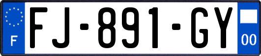 FJ-891-GY