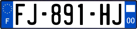 FJ-891-HJ