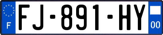 FJ-891-HY
