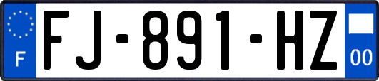 FJ-891-HZ