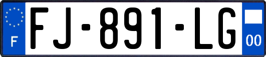 FJ-891-LG