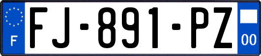 FJ-891-PZ