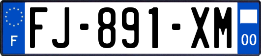 FJ-891-XM