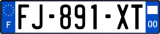 FJ-891-XT