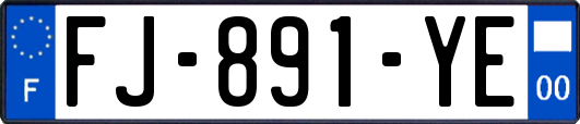 FJ-891-YE