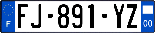 FJ-891-YZ