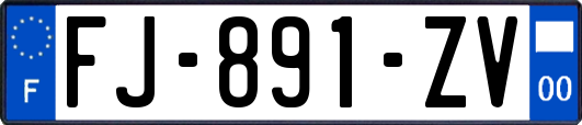 FJ-891-ZV