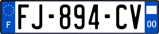FJ-894-CV