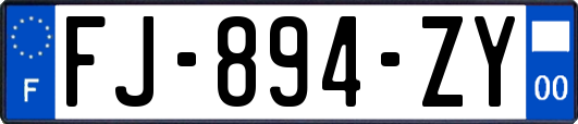 FJ-894-ZY