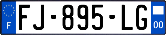 FJ-895-LG