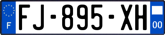 FJ-895-XH