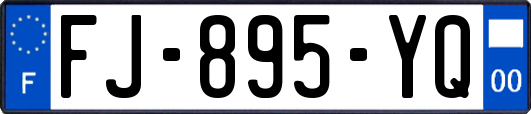 FJ-895-YQ