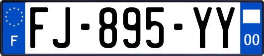 FJ-895-YY
