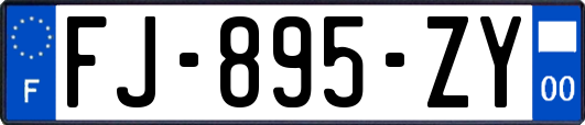 FJ-895-ZY