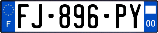 FJ-896-PY