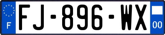 FJ-896-WX