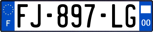 FJ-897-LG