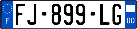 FJ-899-LG
