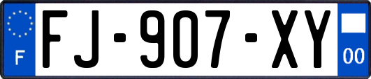 FJ-907-XY