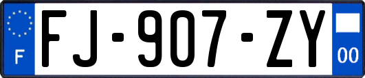 FJ-907-ZY