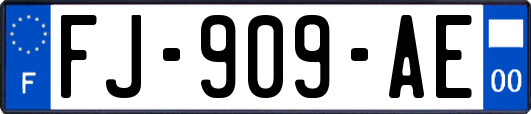 FJ-909-AE