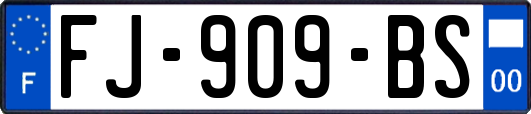 FJ-909-BS